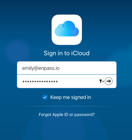 icloud_login_screenshot.png
